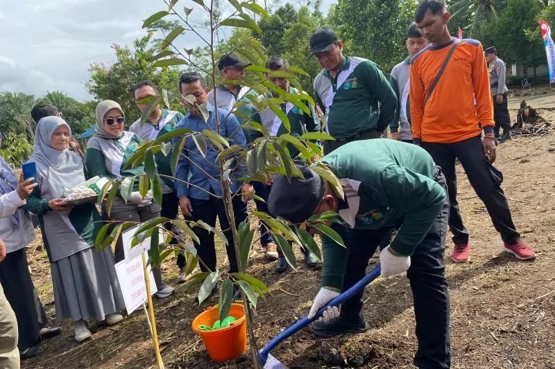 Pemkab Pasaman Barat mendadak revitalisasi Hutan Kota Padang Tujuh dengan 387 bibit pohon buah. Cek alasan Bupati Yulianto turun tangan!